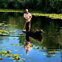 Acarlar Longozu tescil edildi