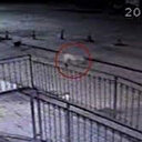 Köpeklerin AVM'ye taşıdığı bebek cesedinin sırrı çözüldü