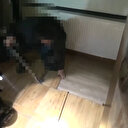 DHKP-C operasyonunun yeni görüntüleri paylaşıldı