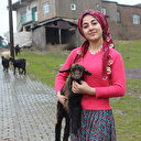 Siirtli Merve devlet desteğiyle hayvancılık yapıyor