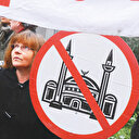 Sistematik düşmanlık