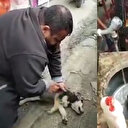 Köpeği masaj ve suni solunumla hayata döndürdü