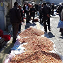 Tohumluk soğan fiyatları el yakıyor