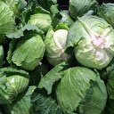 İstanbul’da mart ayının zam şampiyonu lahana oldu