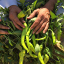 Mart ayının zam şampiyonu oldu