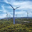 Dünyada yenilenebilir enerji kapasitesi yüzde 7,9 arttı