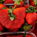 Devasa çilek görenleri şaşırttı