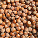 Fındık ihracatı 3 ayda 435 milyon dolara ulaştı