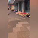 Avrupa'nın göbeğinde içler acısı görüntüler