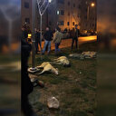 Ankara'da 13 köpek zehirlenerek öldürüldü