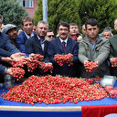 İlk kiraz 250 liradan satıldı