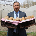 2 milli patates çeşidi daha tescillendi