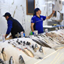 Türkiye'nin su ürünleri hava yoluyla dünyaya yayılıyor