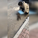 Anne ve yavru kedileri bıçaklayarak öldürmüşler