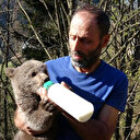 Boz ayı yavrusunu evinde besliyor