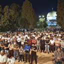 İşgalin gölgesinde