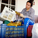 Asma yaprağı ile aile ekonomisine katkı sağlıyorlar