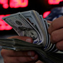 Dolar güne sakin başladı