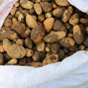 25 kilo topladılar 300 bin TL ceza yediler