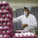 Irak yasak getirdi fiyatı yüzde 50 düştü