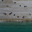 Mayıs ayında Rus patlaması yaşandı