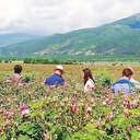 İki gül kenti işbirliğine gidiyor