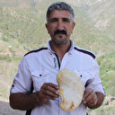 Kilosu etten pahalı mantar