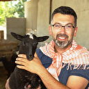 Hobi olarak yetiştirdiği koyunları internet üzerinden satıyor