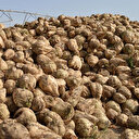 Türkşeker’e ait 3 taşınmaz özelleştirilecek