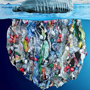 Tek kullanımlık plastikler yasaklanıyor