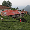 Çay bahçesi çay bahçesi olalı böyle ilgi görmedi