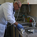 Niğde'de yerli 2 patates çeşidi daha geliştirildi