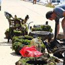 Denizin dibinden sandalye ve lavabo çıktı