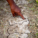 Dolu vurdu: 100 milyon liralık zarar var