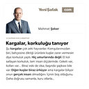 Kargalar, korkuluğu tanıyor