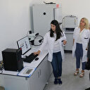 Ormanlar böceklerle koruma altında