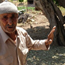 Asırlık ağaç görenleri büyülüyor