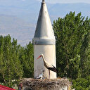 Çifte minare leyleklerin yuvası oldu