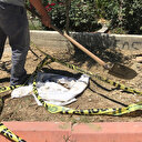 Adana'da esrarengiz olay: İzinsiz defin şüphesiyle kazıldı boş kefen çıktı