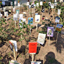 Fidanlar kitap açtı