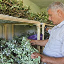Evinin boş odası 42 günde 3 bin 500 TL kazandırdı