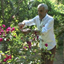 Evinin bahçesinde 27 çeşit gül yetiştiriyor