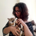 Yavru kedi annesi sandığı oyuncak maymunu emiyor