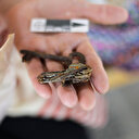 Soykırımda kaybettiği kardeşini eşyalarından tanıdı