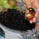 Bu domatesleri görenler şaşırıyor