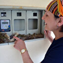 Kuş elektrik saatine yuva yaptı ev sahibi elektriğini kesti