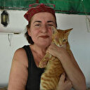 Evinde 80 kedi ile yaşıyor