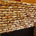 İstanbul'da 12 milyonluk yarım ton uyuşturucu ele geçirildi