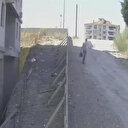 Canını hiçe sayıp elektrik akımı olan kabloyu çaldı