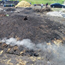 Ateşten ekmek parası